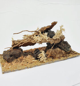 AntScape Biohobby 0423022401002