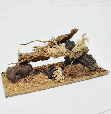 AntScape Biohobby 0423022401002