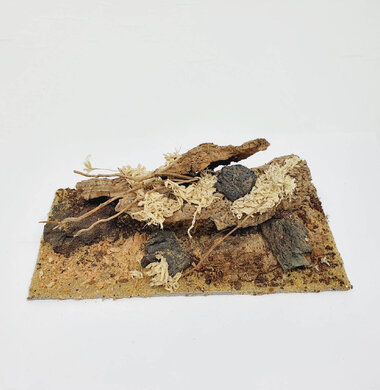 AntScape Biohobby 0423022401002