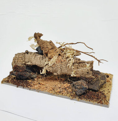 AntScape Biohobby 0423022401002