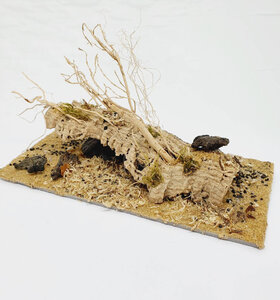 AntScape Biohobby 0423031901001