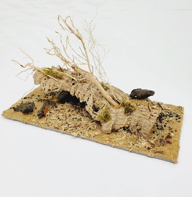 AntScape Biohobby 0423031901001