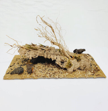 AntScape Biohobby 0423031901001