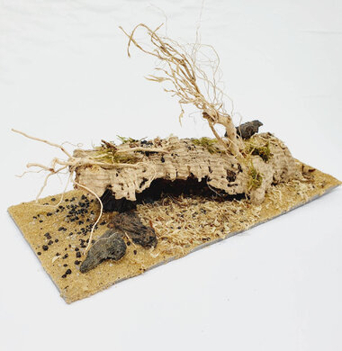 AntScape Biohobby 0423031901001