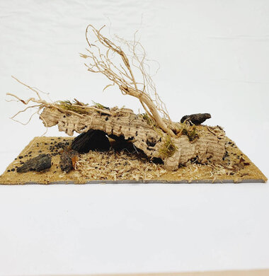 AntScape Biohobby 0423031901001