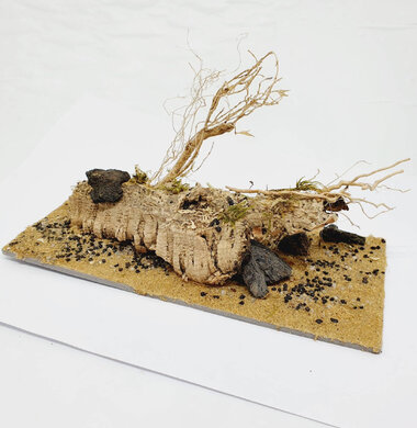 AntScape Biohobby 0423031901001