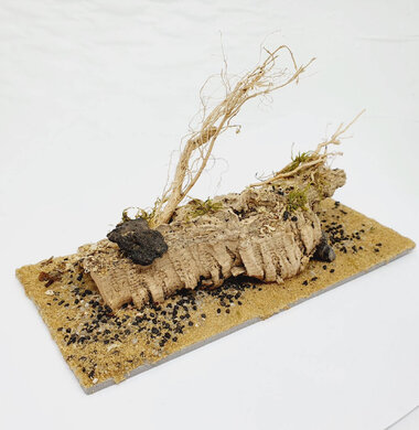 AntScape Biohobby 0423031901001