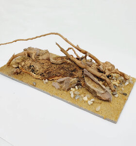 AntScape Biohobby 0423040101018