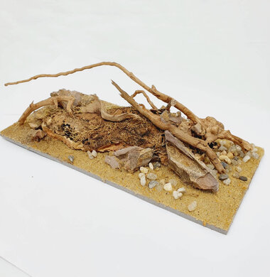 AntScape Biohobby 0423040101018