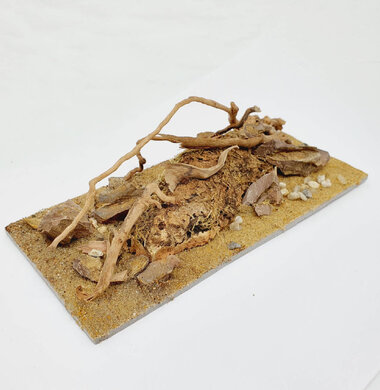 AntScape Biohobby 0423040101018