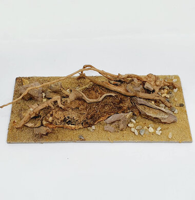 AntScape Biohobby 0423040101018