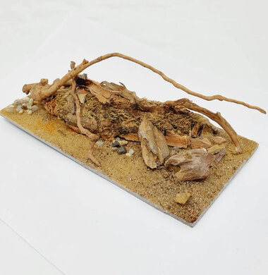 AntScape Biohobby 0423040101018