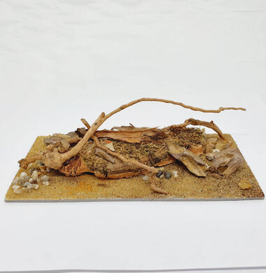 AntScape Biohobby 0423040101018