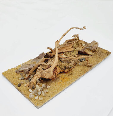 AntScape Biohobby 0423040101018