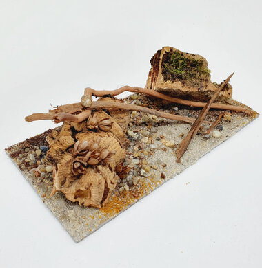 AntScape Biohobby 0423042801039