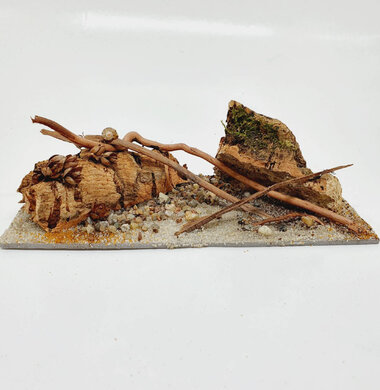 AntScape Biohobby 0423042801039