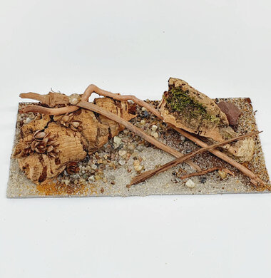 AntScape Biohobby 0423042801039