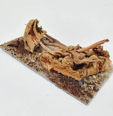 AntScape Biohobby 0423042801039