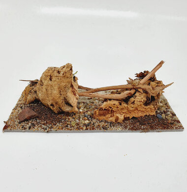 AntScape Biohobby 0423042801039