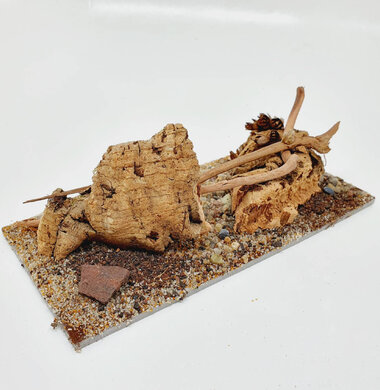 AntScape Biohobby 0423042801039