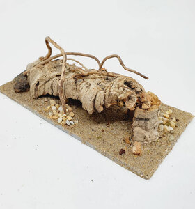 AntScape Biohobby 0423060901011