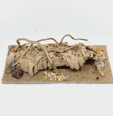 AntScape Biohobby 0423060901011