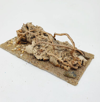 AntScape Biohobby 0423060901011