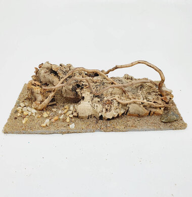 AntScape Biohobby 0423060901011