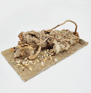 AntScape Biohobby 0423060901011
