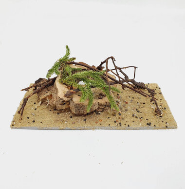 AntScape Biohobby 0423060901012