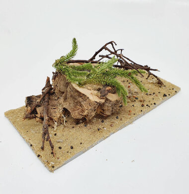 AntScape Biohobby 0423060901012