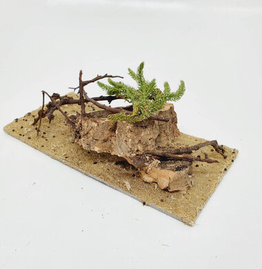 AntScape Biohobby 0423060901012