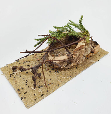 AntScape Biohobby 0423060901012