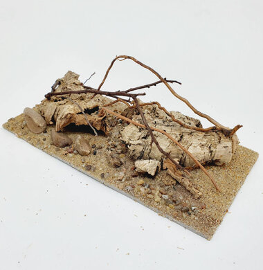 AntScape Biohobby 0423060901013