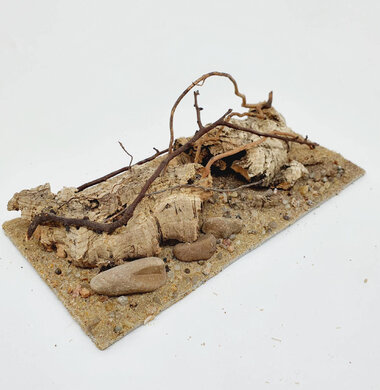 AntScape Biohobby 0423060901013