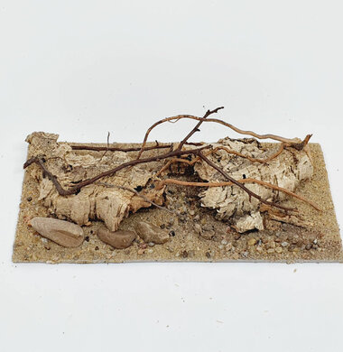 AntScape Biohobby 0423060901013