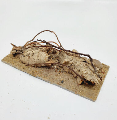 AntScape Biohobby 0423060901013