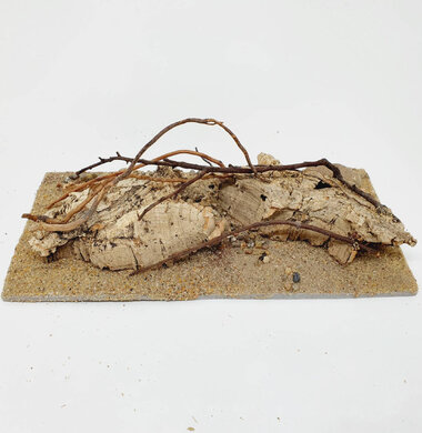 AntScape Biohobby 0423060901013