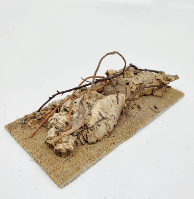 AntScape Biohobby 0423060901013