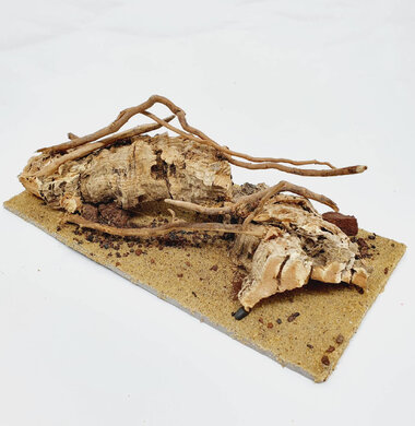 AntScape Biohobby 0423070501022