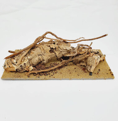 AntScape Biohobby 0423070501022