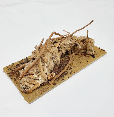 AntScape Biohobby 0423070501022