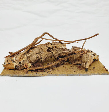 AntScape Biohobby 0423070501022