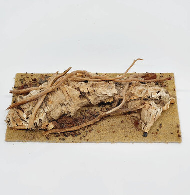 AntScape Biohobby 0423070501022