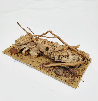 AntScape Biohobby 0423070501022