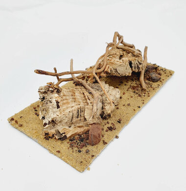 AntScape Biohobby 0423070501022