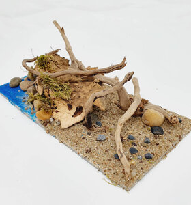 AntScape Biohobby 0423070502023