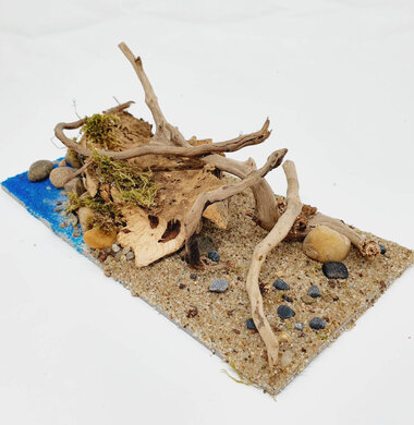 AntScape Biohobby 0423070502023