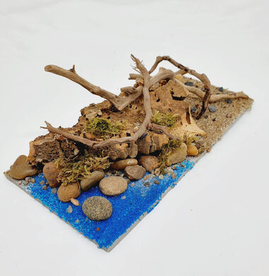 AntScape Biohobby 0423070502023