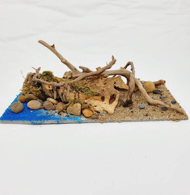 AntScape Biohobby 0423070502023